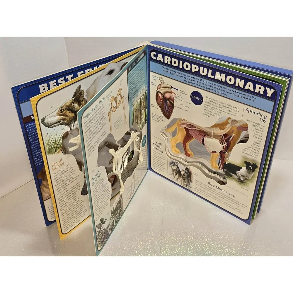 Uncover a Dog 3D Anatomy Book‎ by Paul Beck EUC Educational 🐶📘